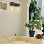 2 Light vanity light and mirror wood wall sconce glass, iron, wood wall light