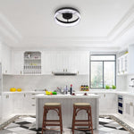 LED ceiling light fixture metal acrylic kitchen lighting black light fixture