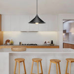 Plug in pendant lighting metal hanging fixture black Industrial lamp