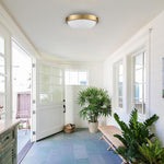 2-Light flush mount ceiling light gold ceiling lights glass light fixture