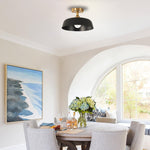 2-Packs ceiling light iron light fixtures black gold led light