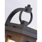 Black exterior wall fixtures with seeded glass shade