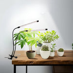 ‎Clip-on countertop led light black grow lights for plants iron, plastic indoor plant light