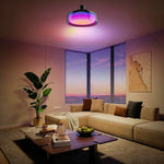 RGBIC light bulb metal glass hanging light black pendant light