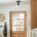 10 Inch ceiling lamp metal glass flush mount black ceiling light