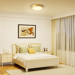 24 w led light iron metal light fixtures gold ceiling light
