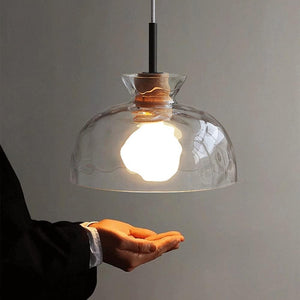 Adjustable height hanging light black ceiling lamp glass pendant light