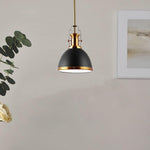 1 Light hanging lighting black/Brass gold island lights iron pendant lights