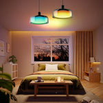 Modern light bulb black light fixture plastic pendant light