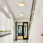 2 light flush mount light iron ceiling lighting gold bedroom light