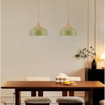Adjustable pendant lamp metal hanging light moss green vintage chandelier