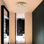 2 light ceiling lights glass metal lighting fixtures brushed gold living room light