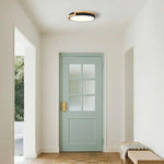 Modern lighting fixtures acrylic metal kitchen light black flush mount light