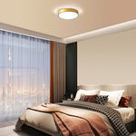 24 w led light iron metal light fixtures gold ceiling light