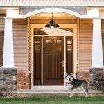 12” Light fixture black pendant light glass, iron hanging light