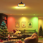 RGBIC light bulb metal glass hanging light black pendant light