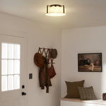 4-light ceiling light metal ceiling lamp black lamp fixtures
