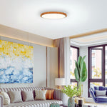 12 inch flush mount light plastic light fixture walnut ceiling light