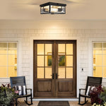 2 light porch light glass metal light fixture black ceiling light