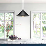 Plug in pendant lighting metal hanging fixture black Industrial lamp