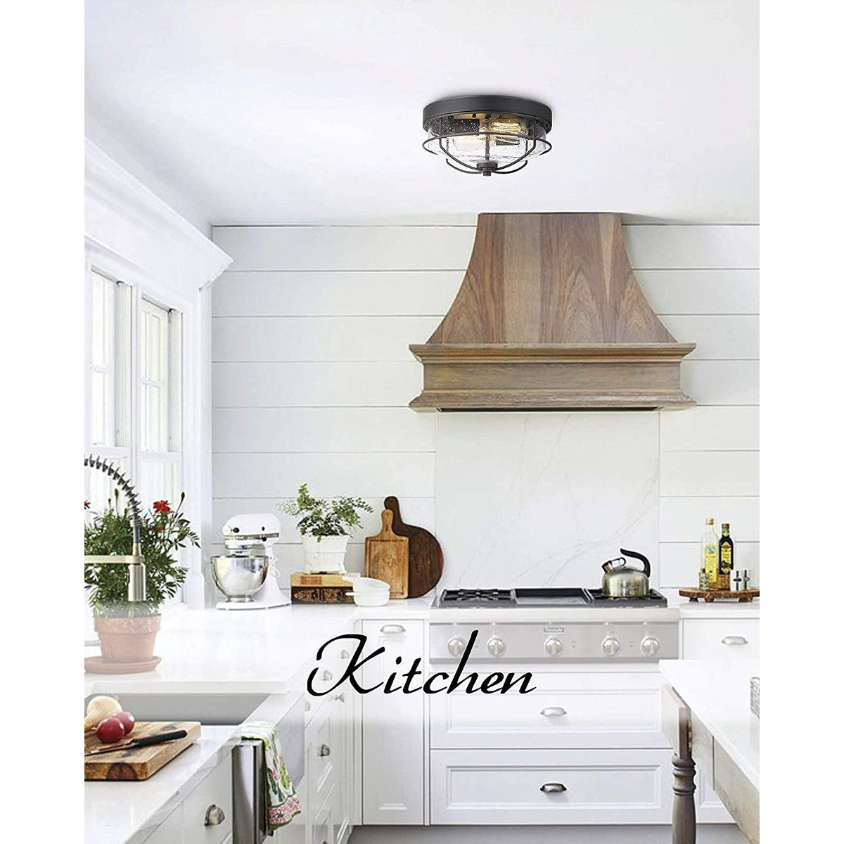 Industrial light fixtures ceiling 2 light glass flush mount