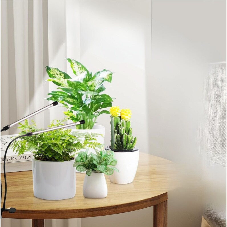 ‎Clip-on countertop led light black grow lights for plants iron, plastic indoor plant light