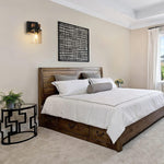 2 Pack bulb light rustic brown + black light fixture glass, metal wall light