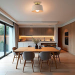 1 light ceiling lighting alloy steel ceiling lamp fixture matte black flush mount