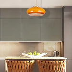 Modern light fixtures Orange kitchen light Metal chandelier light