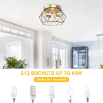 2-light fixture light black, gold ceiling light metal kitchen light