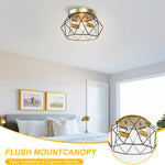 2-light fixture light black, gold ceiling light metal kitchen light