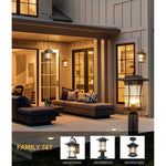Black exterior wall fixtures with seeded glass shade