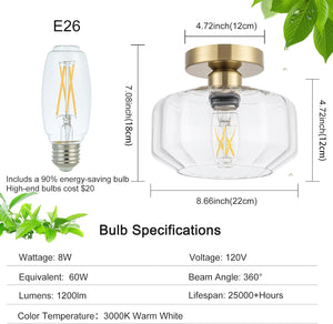 Led bathroom light gold ceiling light glass, metal laundry light