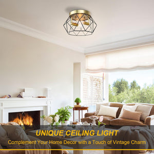 2-light fixture light black, gold ceiling light metal kitchen light