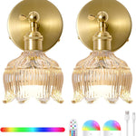 Set of 2 mounted light gold wall light brass,glass powered light