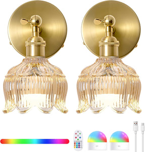 Set of 2 mounted light gold wall light brass,glass powered light