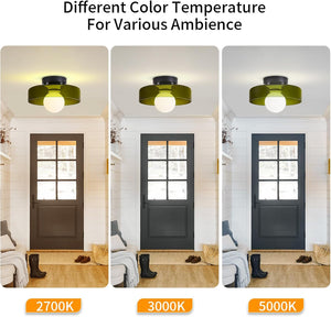 Modern dining room light dark green kitchen light glass ceiling light