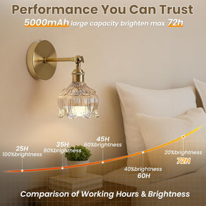 Set of 2 mounted light gold wall light brass,glass powered light