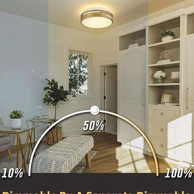 2-light hallway light gold ceiling light glass kitchen light