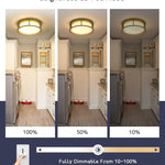 12 inch modern ceiling light fixture glass round ceiling lamp with gold finish