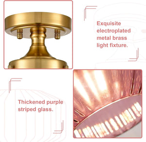 1-light ceiling lamp purple hallway light glass,iron foyer light