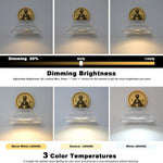 Remote control porch light antique brass wall light glass, metal vanity light