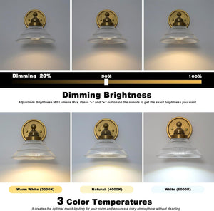 Remote control porch light antique brass wall light glass, metal vanity light