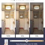 Modern Led ceiling light gold square flush mount ceiling lamp