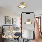 Led ceiling light brass hallway light metal, acrylic kitchen light