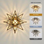 12.7 inch fixture lights bronze kitchen light brass ceiling light