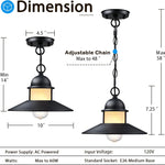 2 pack pendant lights black hanging light metal porch light