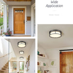 12 inch LED ceiling light black ceiling lamp with frosted glass shade