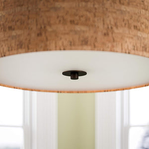3-Light Pendant light oil-rubbed bronze hanging light alloy steel home decor light