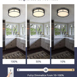 12 inch LED ceiling light black ceiling lamp with frosted glass shade